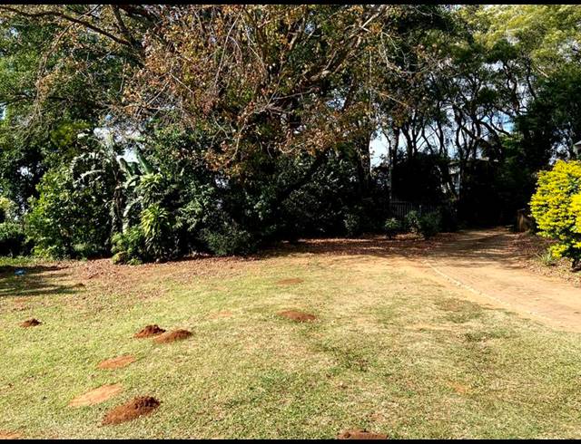 4 BEDROOM HOUSE FOR SALE IN MONTROSE